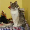 Отзыв от Пелагея Дорохова